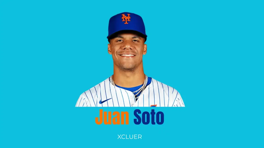 yankees slugger juan